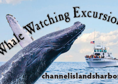 Channel Islands Harbor Whale billboard