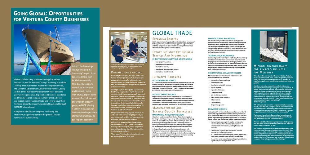 EDC-VC Global brochure